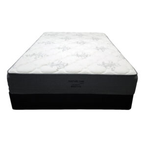 Posture Care Medium Mattress